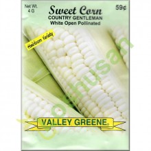 VALLEY GREENE SEEDS SWEET CORN WHITE 4g