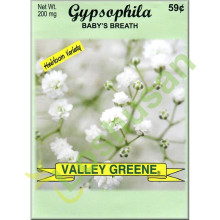VALLEY GREENE SEEDS GYPSOPHILA 200mg