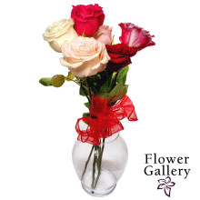 FLOWER GALLERY ROSES MIXED 6ct