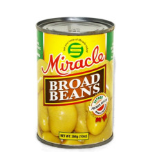 MIRACLE BEANS BROAD 284g