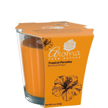 AROMA NATURALS CANDLE T/PARADISE 4oz