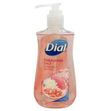 DIAL HAND SOAP HIMALAYAN P/SALT 7.5oz