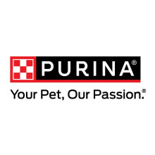 PURINA PUPPY CHOW COMPLETE CHIC RICE 4lb