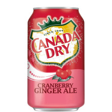CANADA DRY GINGER ALE CRANBERRY 12oz
