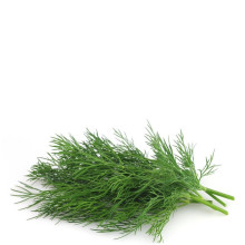 QUALITY HARVEST DILL 25g