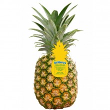 PINEAPPLE ST MARY 1ct