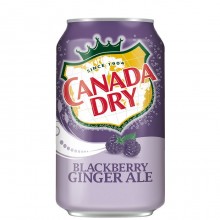 CANADA DRY GINGER ALE BLACKBERRY 12oz